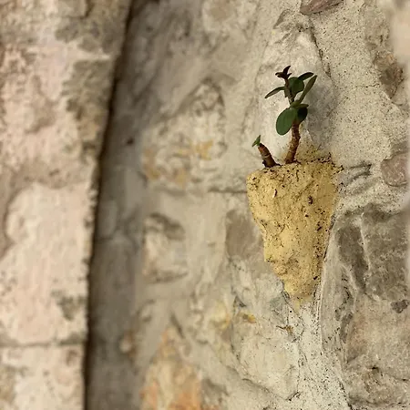 La Cle De La Porte فندق مبيت وإفطار