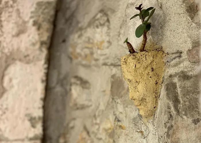 La Clé de la Porte Rentals Appartamento